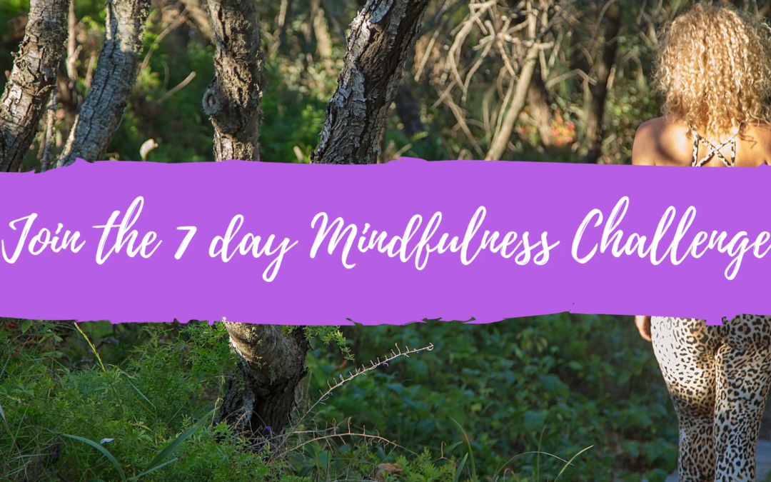 7 Day Mindfulness Challenge Banner